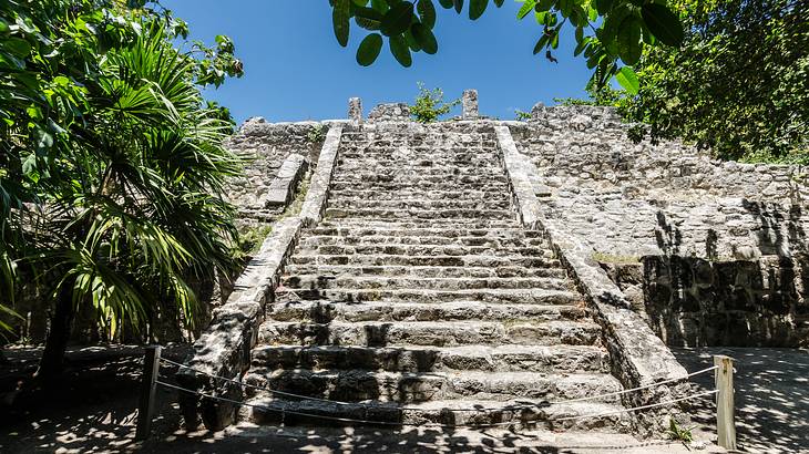 The ruins of a set of stairs with trees surrounding them, under a blue sky