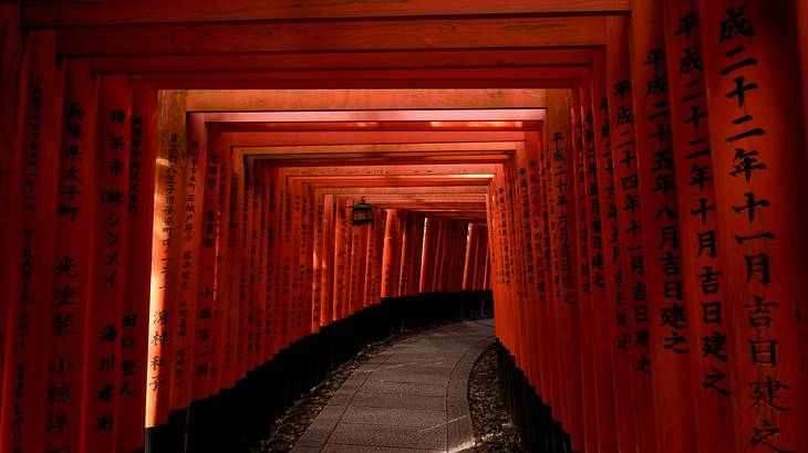 A pathway lined with overarching red gates with Japanese writing on them