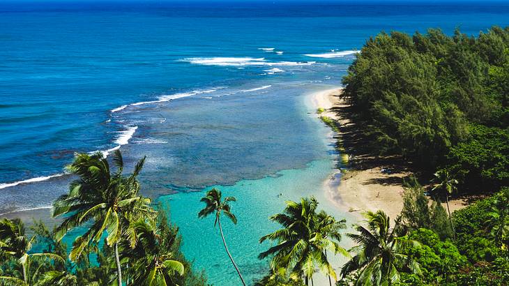 An aerial view of a beach with sand and ocean water and palm trees surrounding