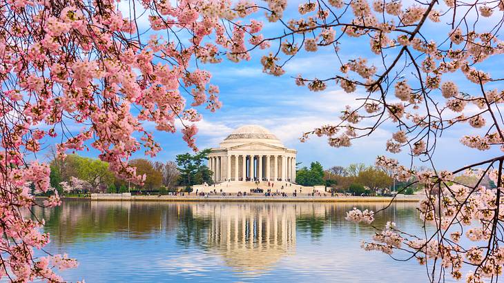 A lake with a Greek-style building on the shore and cherry blossoms in front