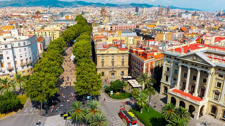 Top view of a crowded street lined with trees on both sides in the middle of a city Top view of a crowded street lined with trees on both sides in the middle of a city