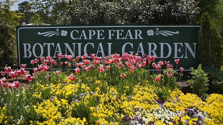 A board that says Cape Fear Botanical Garden surrounded by flowers