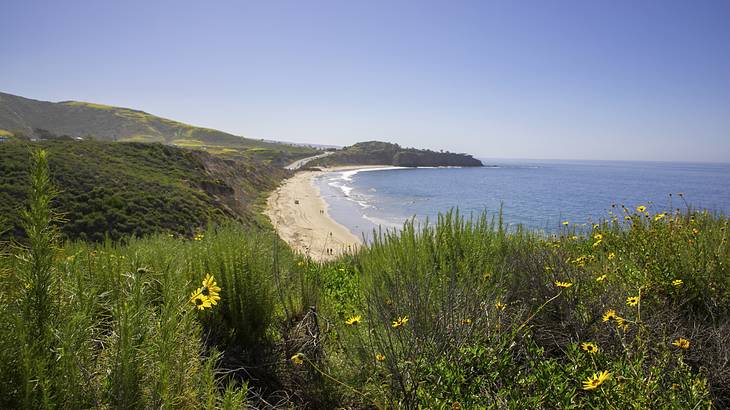 View of a sandy beach and the ocean from a greenery-covered cliff
