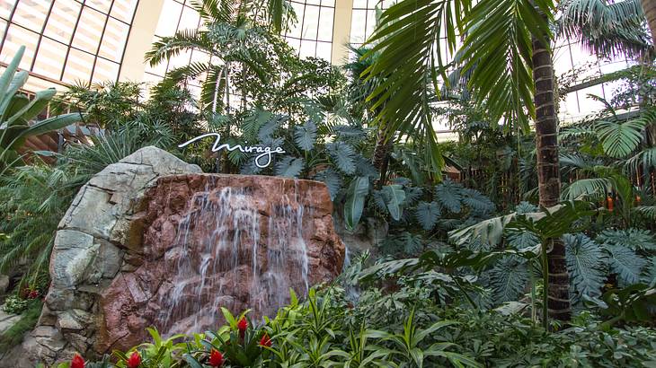 A small waterfall feature and a "Mirage" sign surrounded by greenery A small waterfall feature and a "Mirage" sign surrounded by greenery