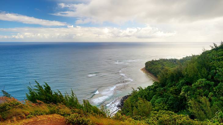 A view of the blue ocean from a greenery covered cliff with red sand