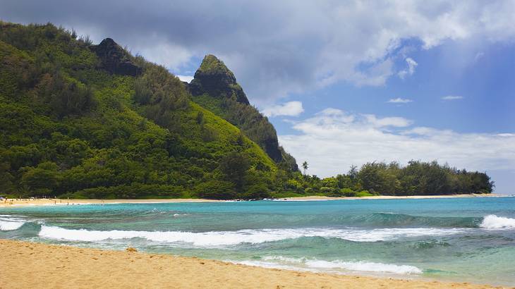 A sandy shore with seawater and a greenery-covered hill to the side