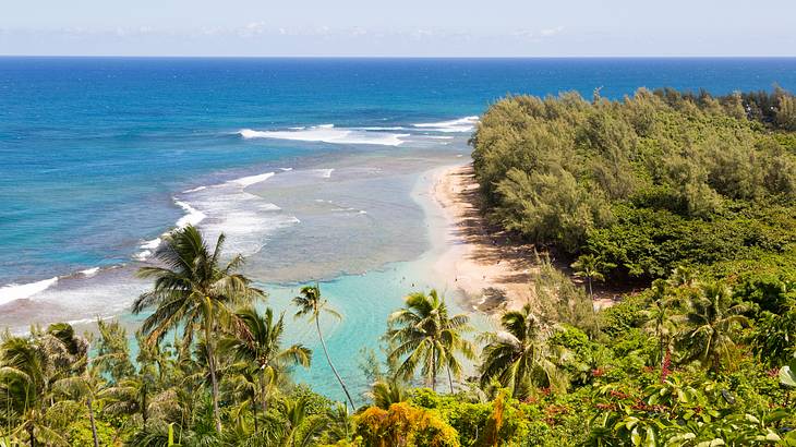 An aerial view of sand and ocean with trees surrounding them