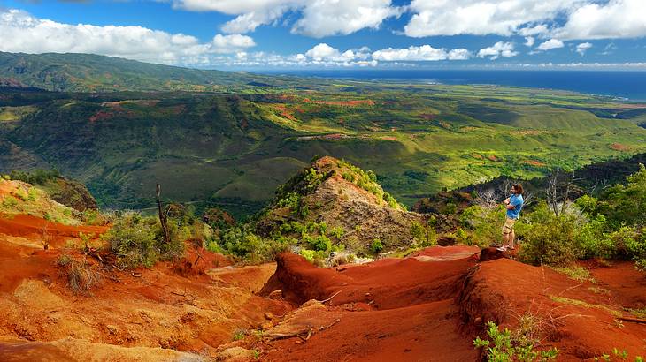 Sweeping view of a red sand and greenery-covered canyon under a blue sky with clouds