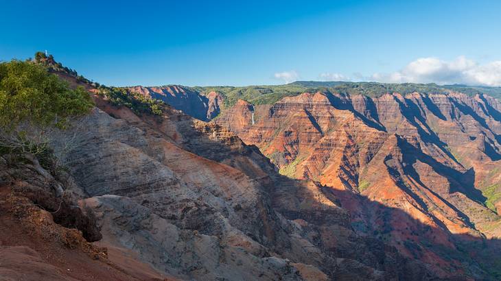 One of many unique things to do in Kauai is hiking at Waimea Canyon