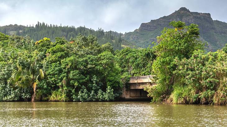 A green river with green trees, a cliff, and a bridge behind it