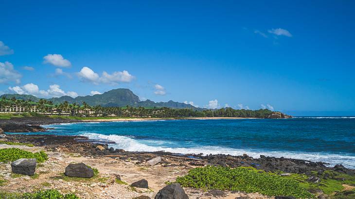 A coastline with ocean, sand, and greenery and a mountain on the horizon