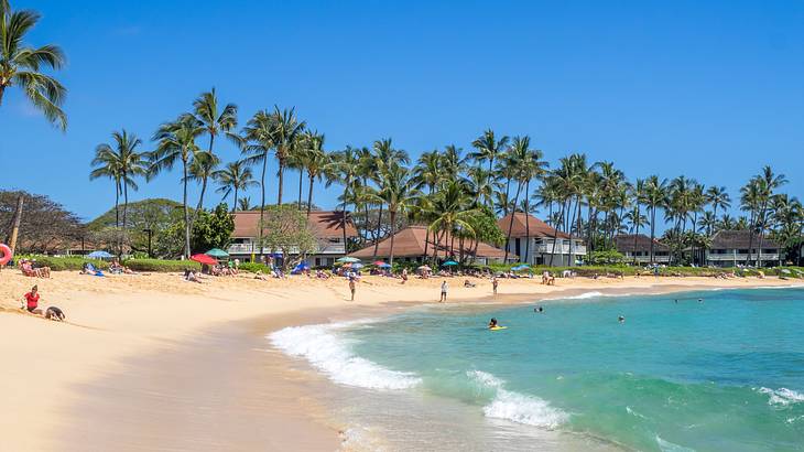 A sandy shore with blue ocean and palm trees