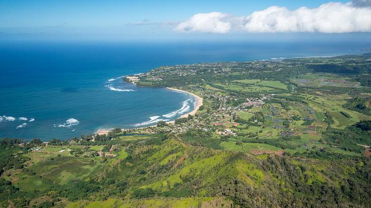 An aerial view of green land with the ocean to the side