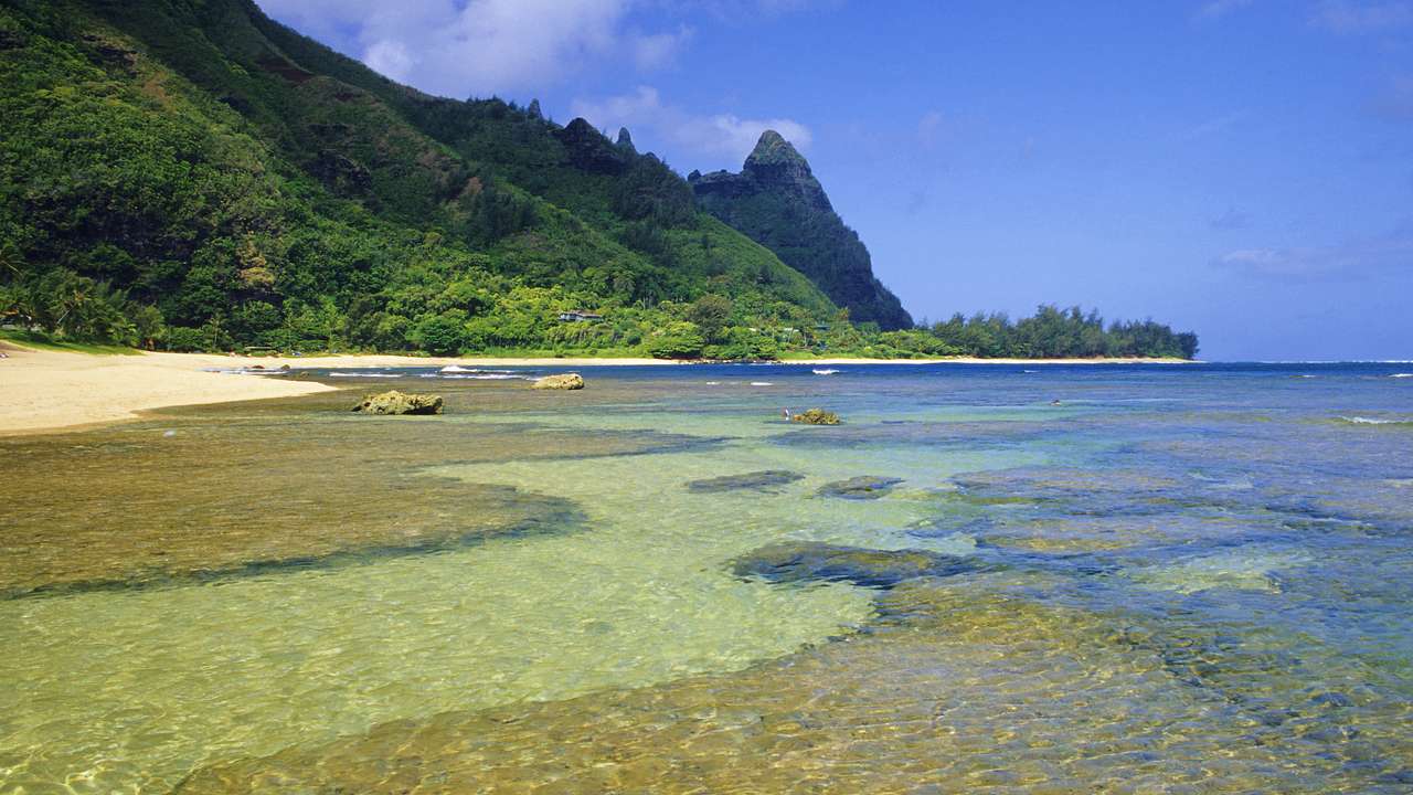 Clear ocean water with a sandy shore and a greenery-covered cliff on the shore