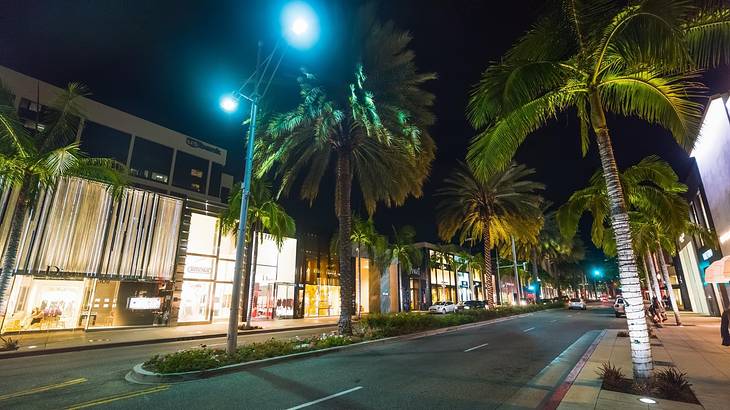 One of the fun things to do in Los Angeles at night is to walk down Rodeo Drive