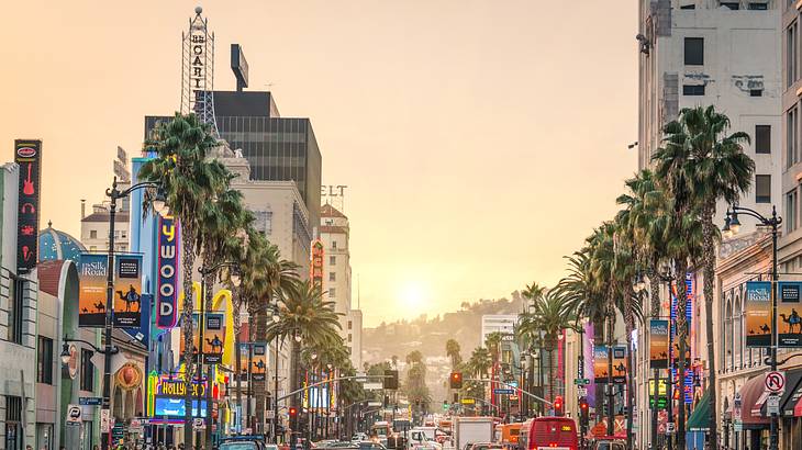 A busy street lined with palm trees and buildings on both sides at sunset