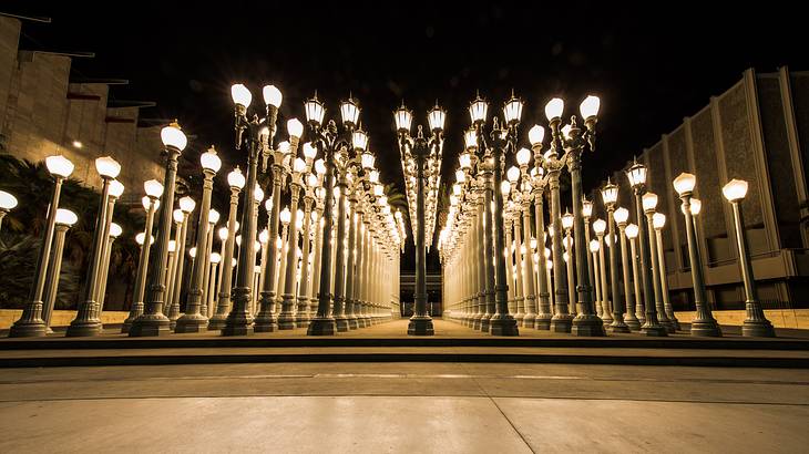 Lit up street lamp posts symmetrically arranged in a grid at night