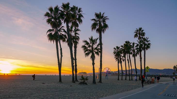 People on a palm-lined beach with an amusement park in the background during sunset