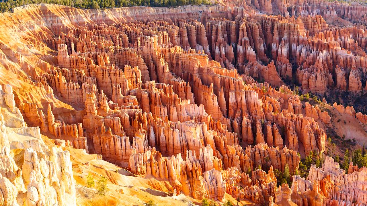 A large area of crimson-colored hoodoos surrounded by trees