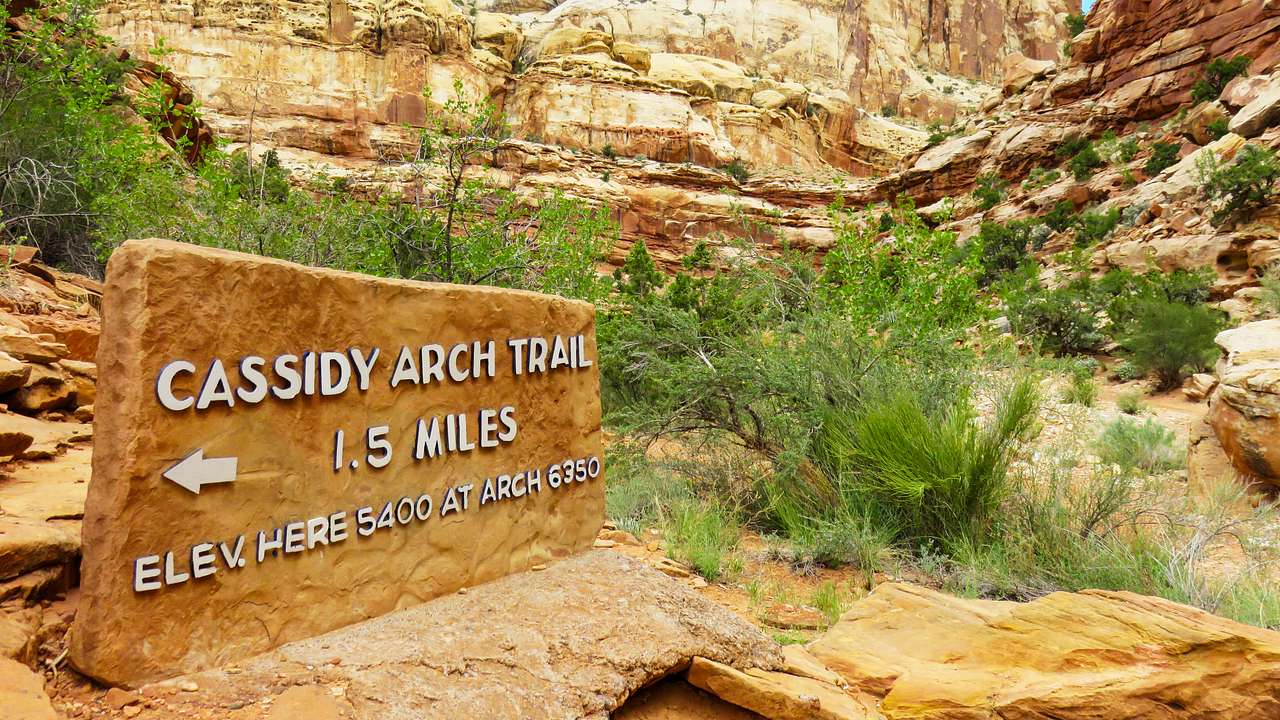 "Cassidy Arch Trail" engraved on a stone sign with plants and a rock cliff behind