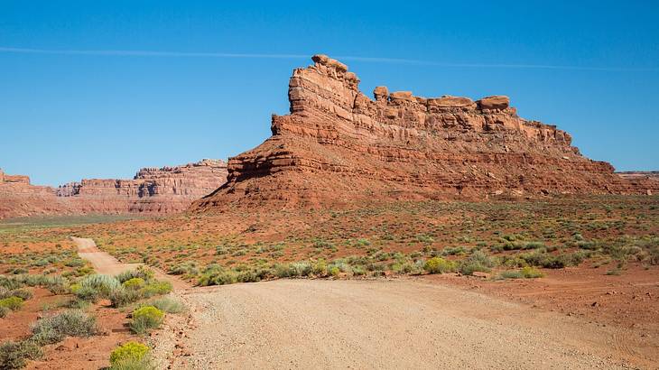 Dirt road and dry flora in the desert with a huge rock formation on one back side