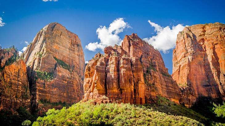 Breathtaking view of huge sandstone canyons with vegetation around