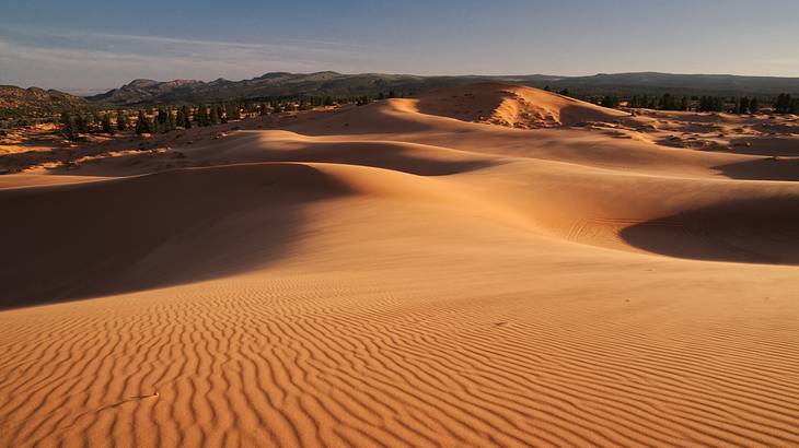 Magnificent view of caramel-colored dunes with ridges