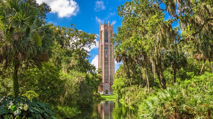 Reflections of a tower on a lake surrounded by lush green trees and plants Reflections of a tower on a lake surrounded by lush green trees and plants