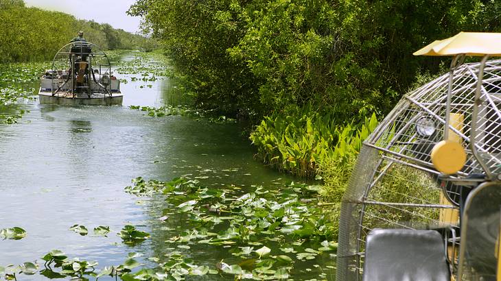 Airboats cruising down a swamp surrounded by lush green plants and trees