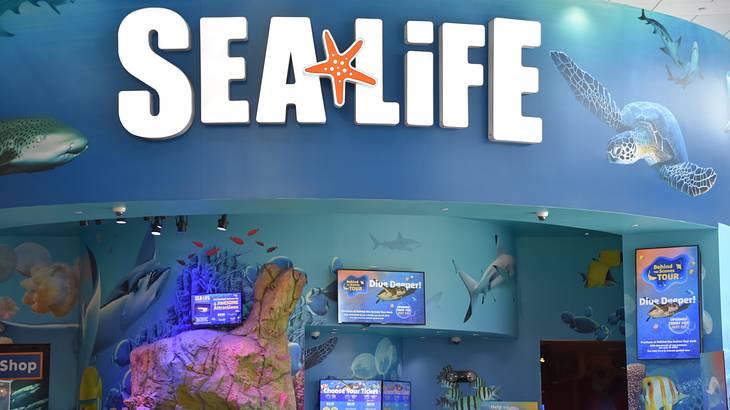 "Sea Life" signage over the admission counter with posters and ticket prices