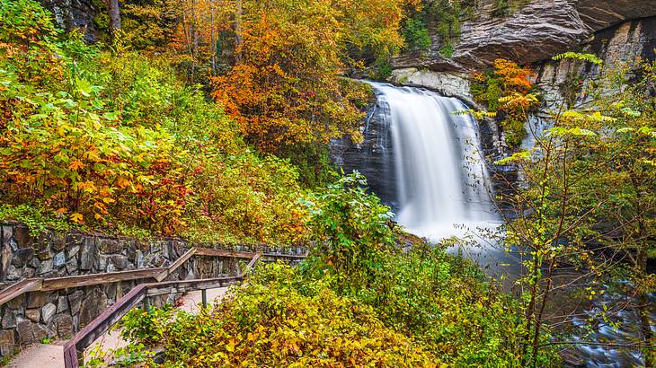 A waterfall with a path leading to it and orange and green trees surrounding A waterfall with a path leading to it and orange and green trees surrounding