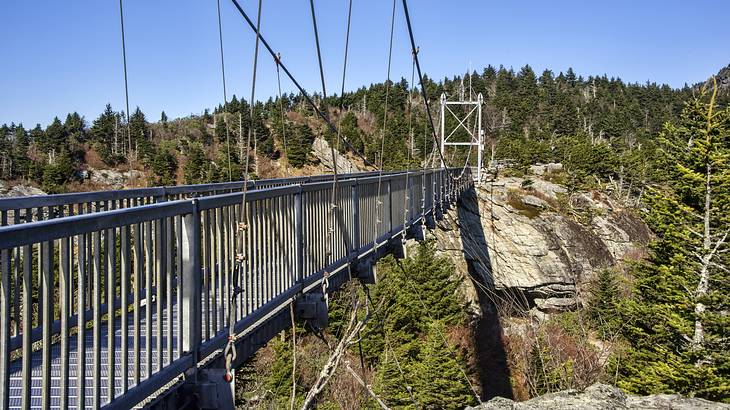A suspension bridge over a mountain with green trees on it