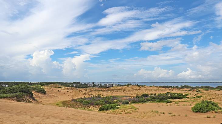 A sandy landscape with green bushes under a cloudy sky