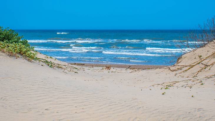 A sandy beach and the ocean under a blue sky