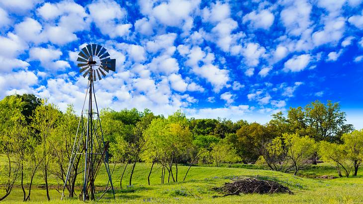 Green grass and green trees with a metal windmill under a blue sky with clouds