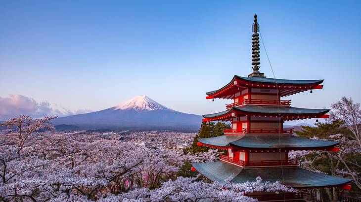 Red pagoda and cherry blossoms in the foreground of a snow-capped mountain