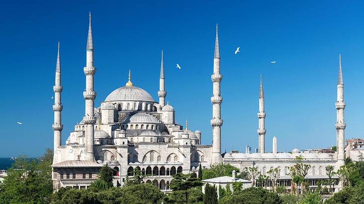 Birds flying above a mosque with six minarets surrounded by trees on a clear day