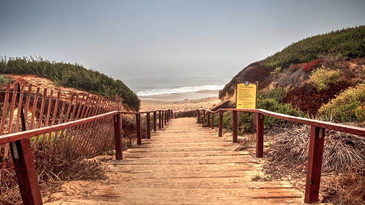 Dunes alongside a wooden stairway heading down to a sandy beach