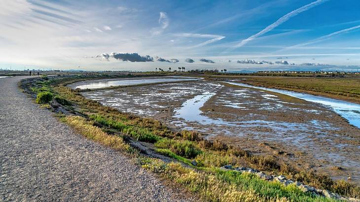 Unpaved road beside a swamp under a partly cloudy sky