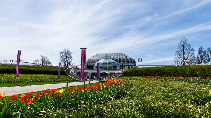 Grass with colored flowers in front of a glass conservatory and purple banners