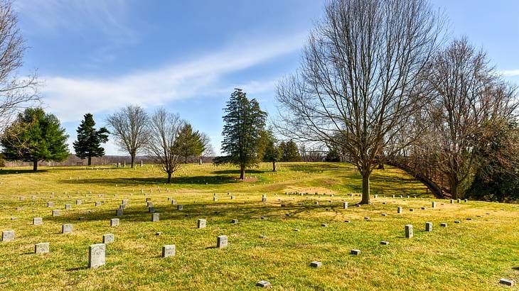 Old tombstones on green and golden grass with large trees in the distance