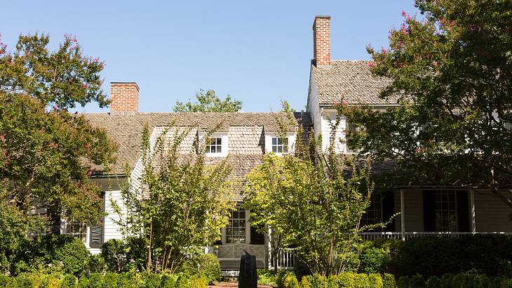 Yard with plants and trees in front of a white wooden home with a gable roof Yard with plants and trees in front of a white wooden home with a gable roof
