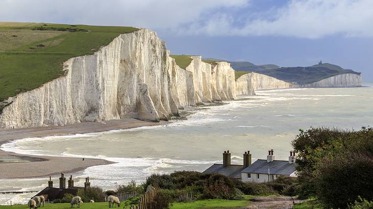 White chalk cliffs with green fields on top, along a coastline, with homes in front
