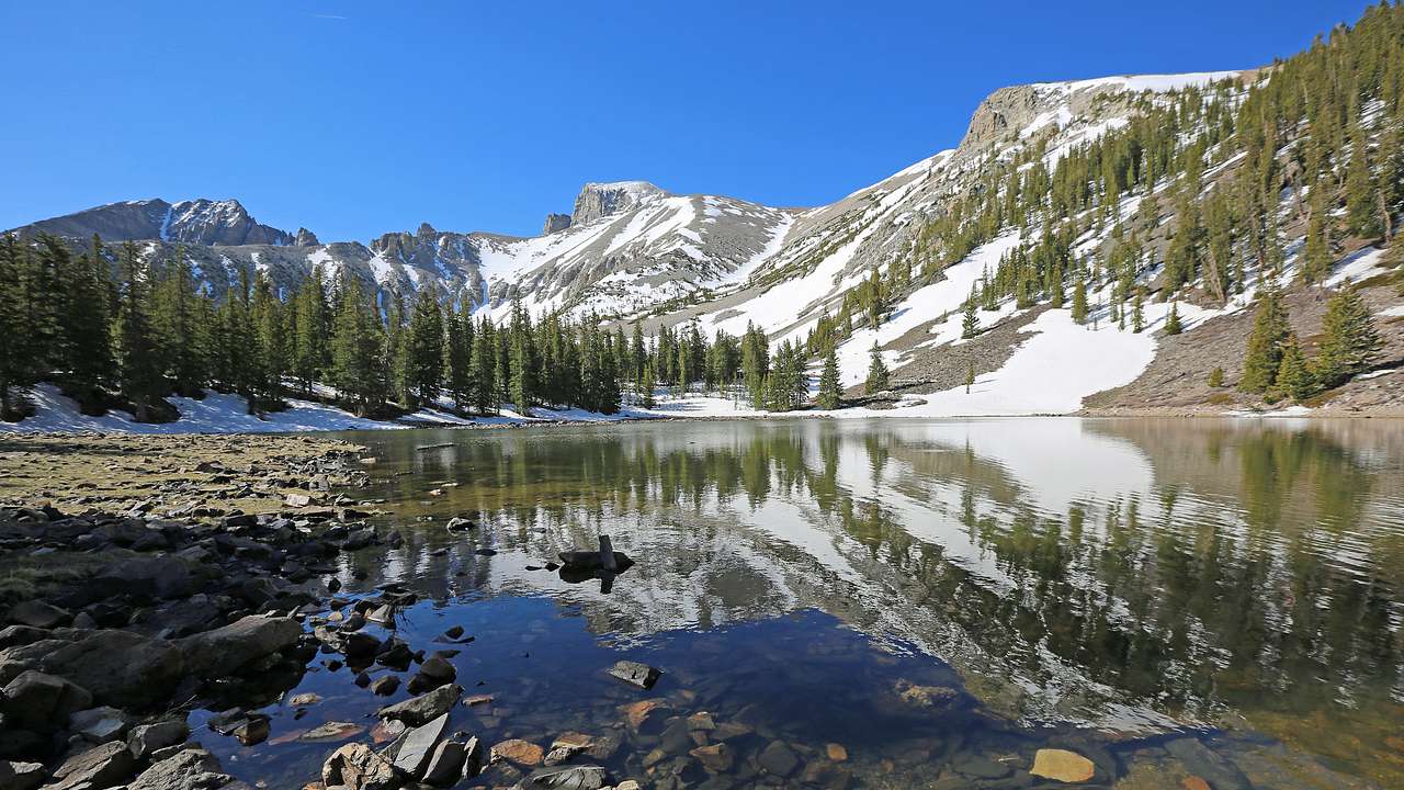 Snowy mountains and tall trees' reflections on water against a clear blue sky