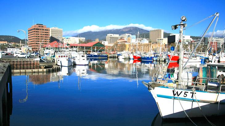 Waterfront with docked white boats in front of buildings and a mountain at the back