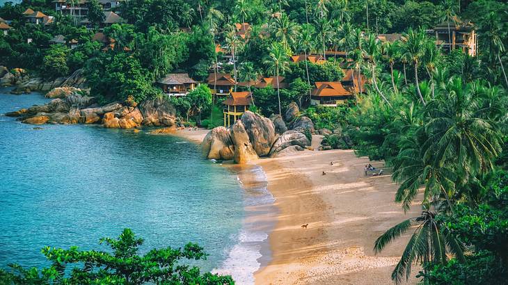 Small waves break onto a golden sand beach surrounded by rainforest