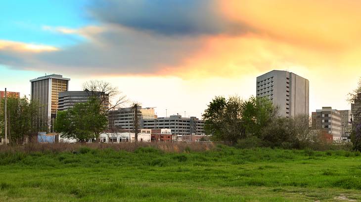 A city skyline with cement buildings and green grass and trees in front