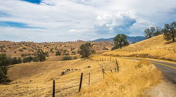 Dried grass in a hilly landscape with a road on the right