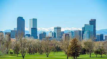 A city skyline full of tall glass buildings, with green grass and bare trees in front