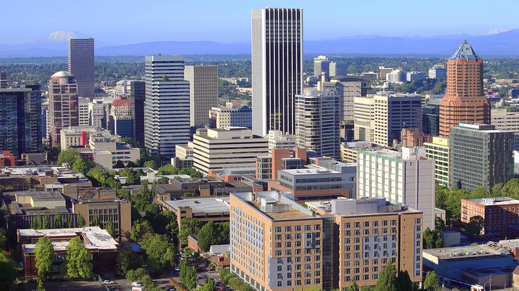 City skyline with concrete buildings, green trees, and a mountain at the back